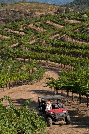 Estate Tour - Priest Ranch Wines