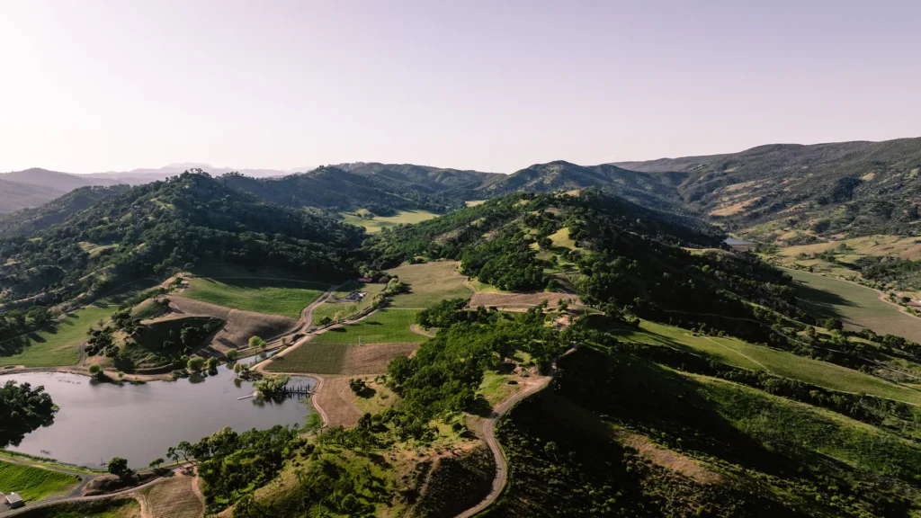 Arial view of Somerston Estate Vineyards.