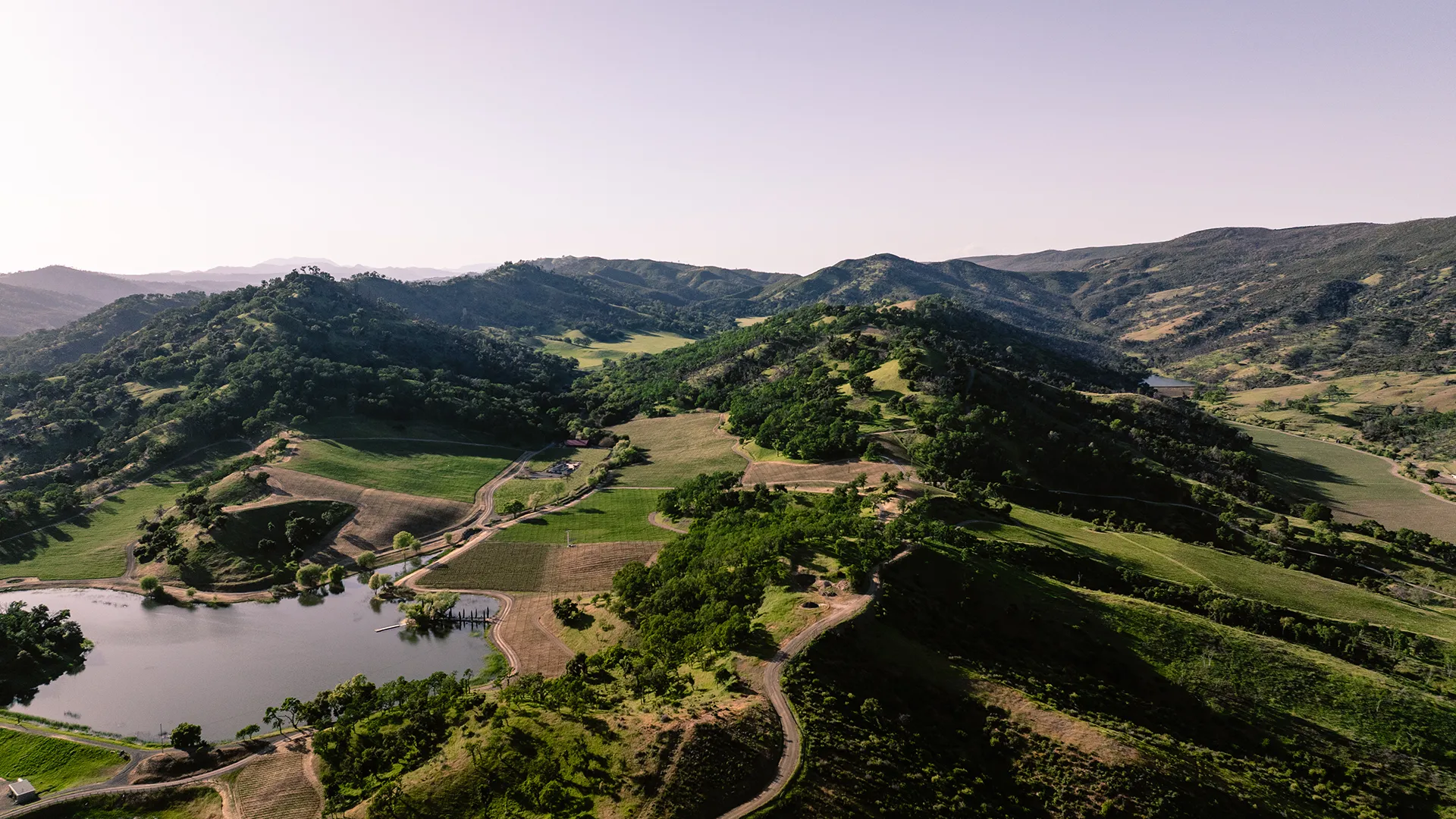 Arial view of Somerston Estate Vineyards.