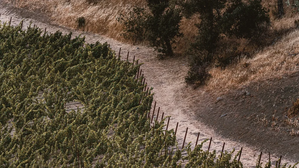 Somerston Estate Terroir Blog.