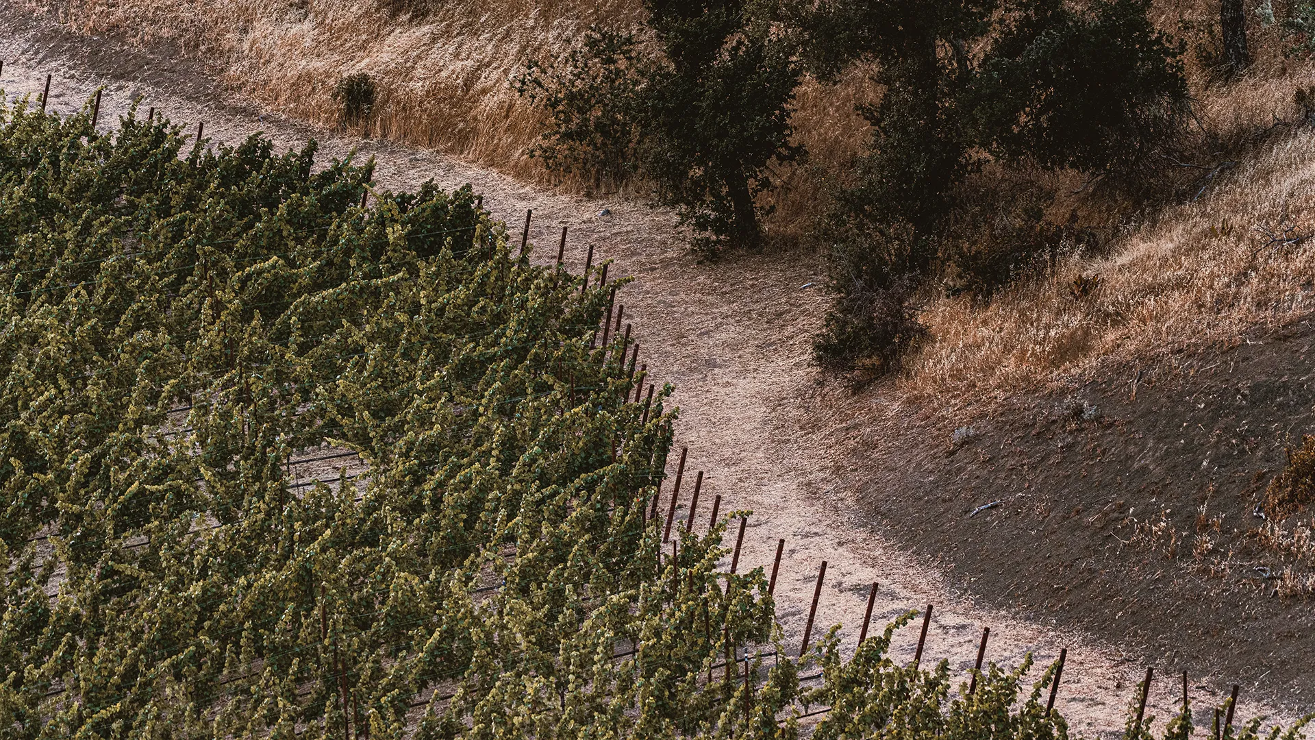 Somerston Estate Terroir Blog.