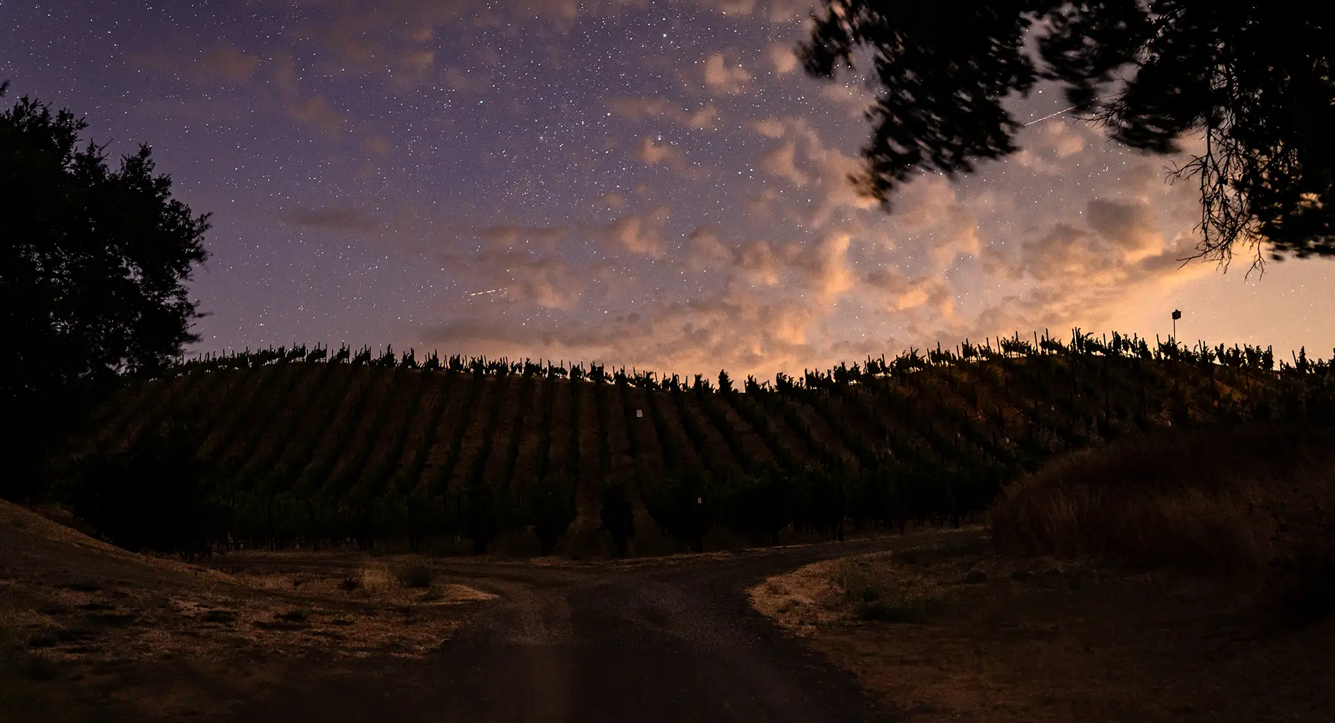 Somerston Estate at night.