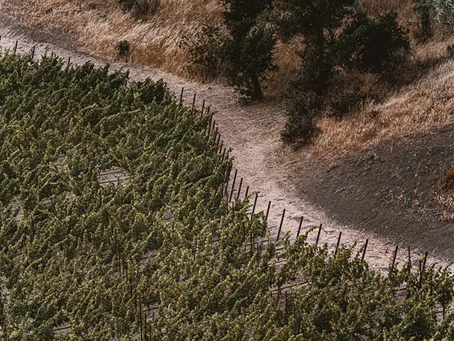 Somerston Estate Terroir.
