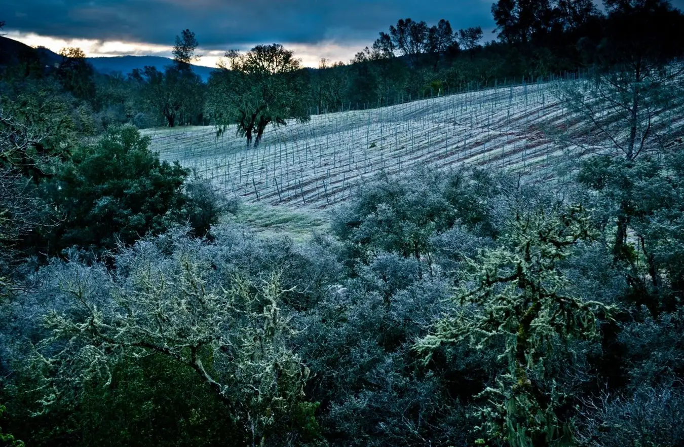 Winter-at-the-Estate