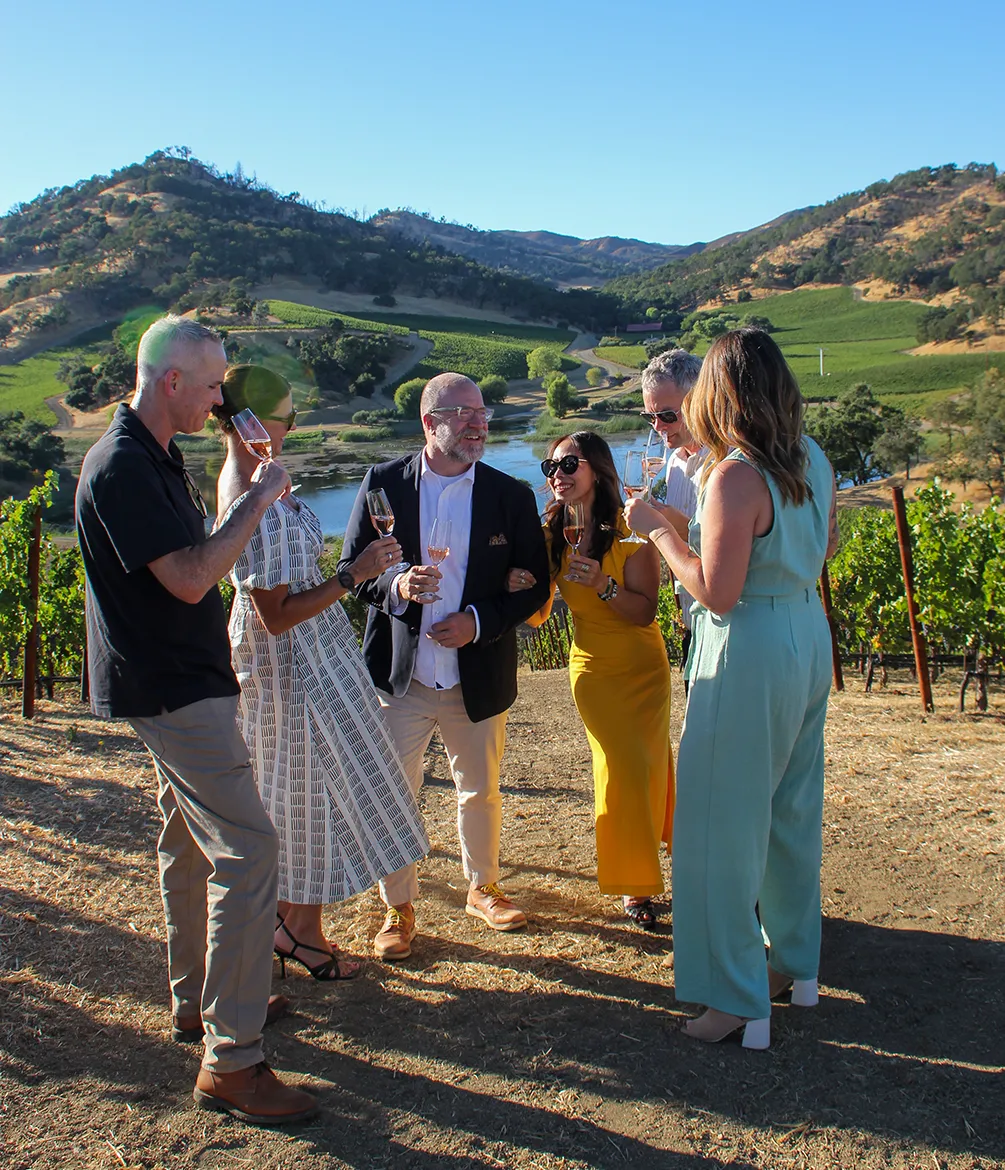 A group of people gathered in a vineyard enjoying Somerston wine.