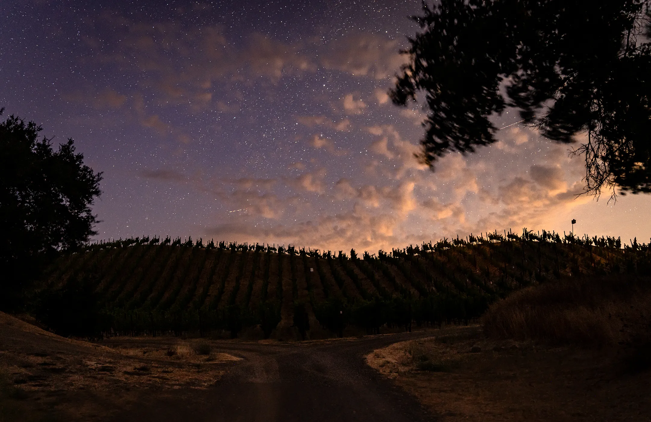 Somerston Estate Vineyards at night (2160x1400)